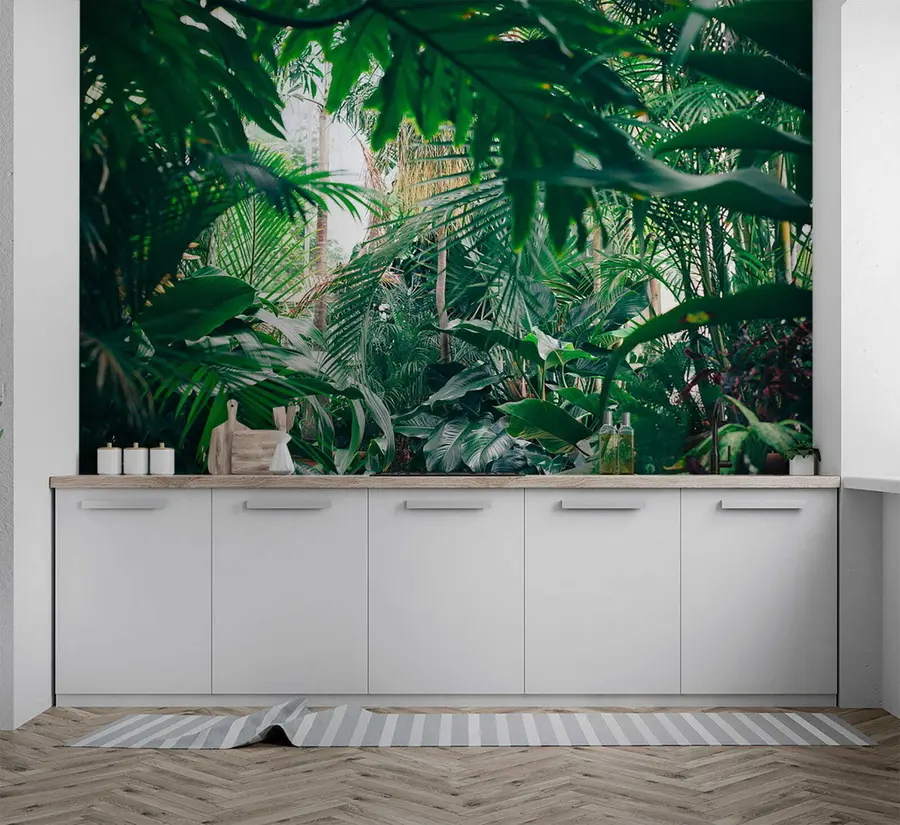 murales de pared Selva densa u05361