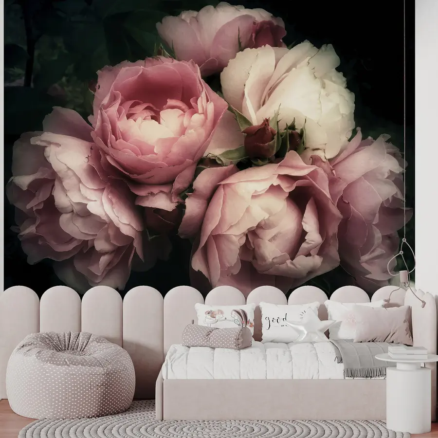 murales de pared Peonías rosadas delicadas u08062