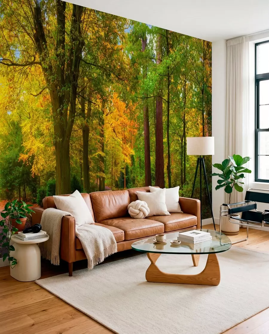 murales de pared Comienzo de otoño u08547