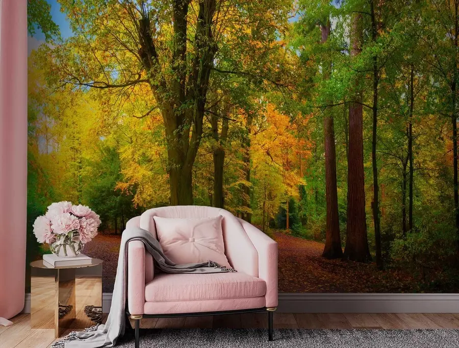 murales de pared Comienzo de otoño u08547