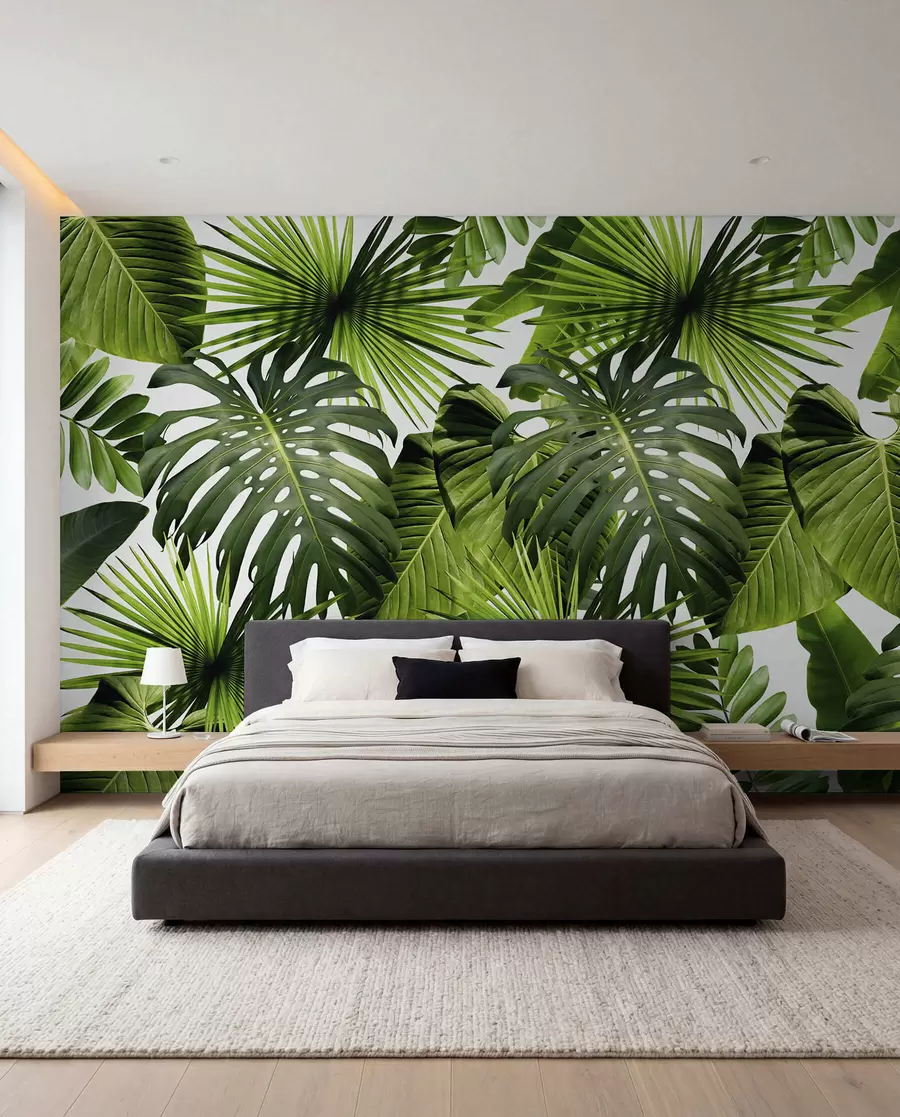 murales de pared Verde tropical a la luz u37767