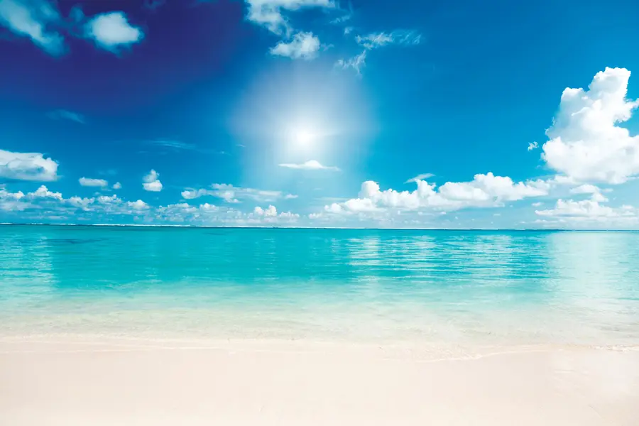 murales de pared En la estación u52628