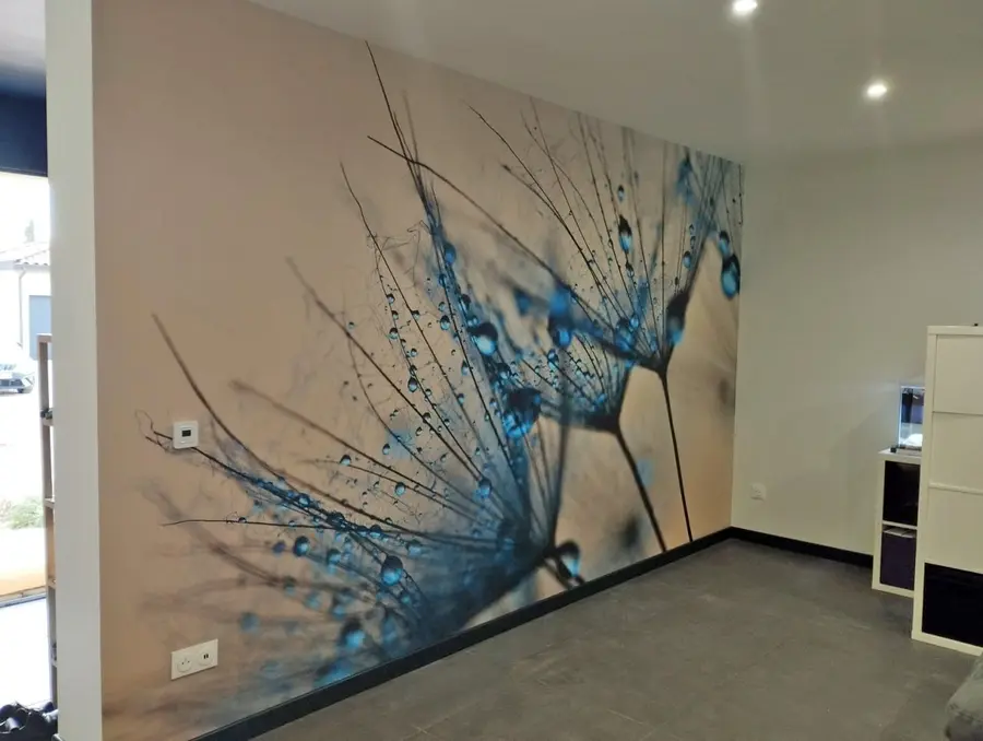 murales de pared Dientes de león con gotas de agua u57557