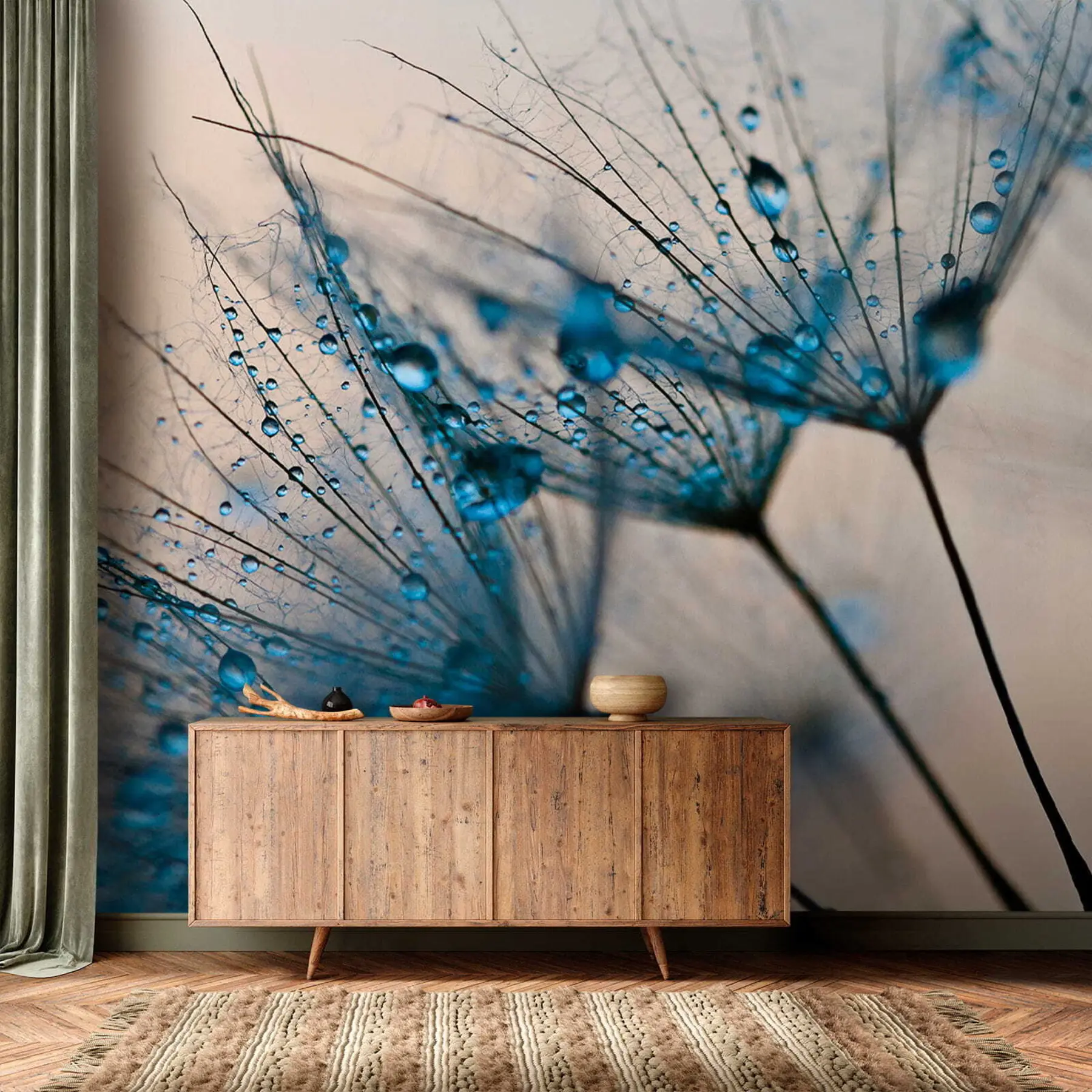 murales de pared Dientes de león con gotas de agua u57557