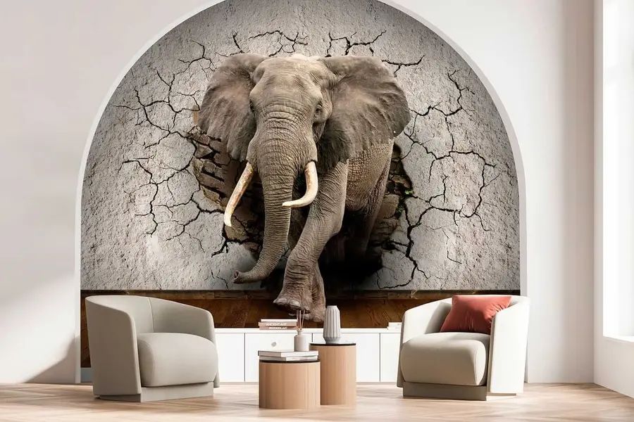 murales de pared Elefante atraviesa la pared u77854