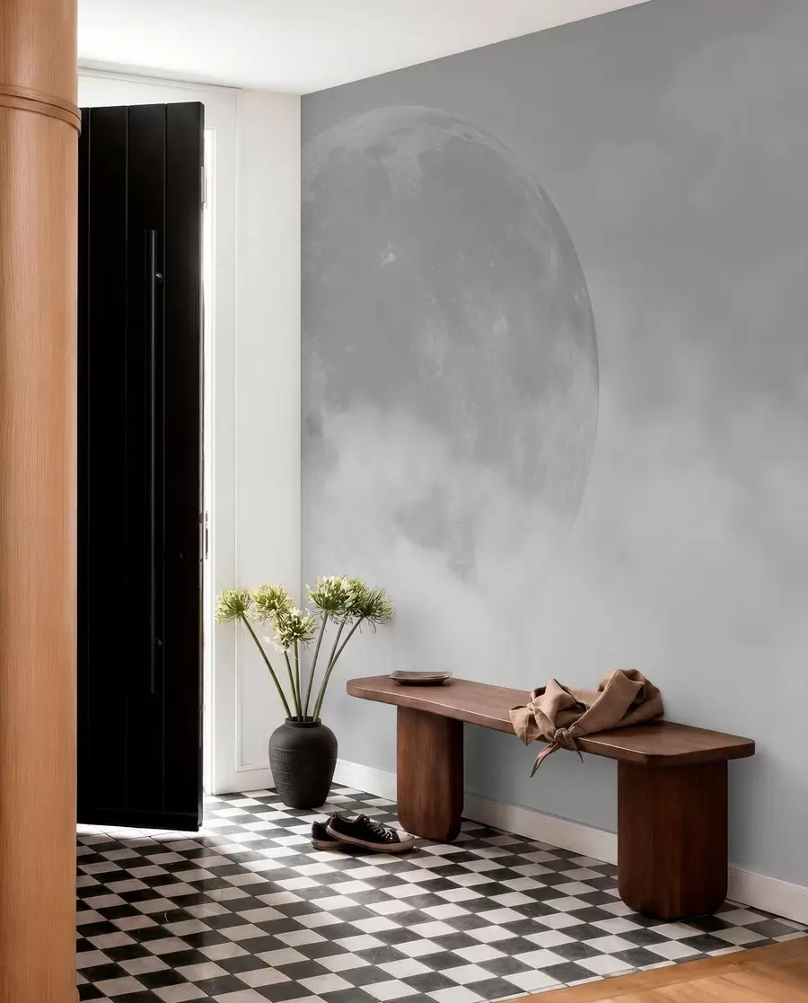 murales de pared Luna en cielo plateado w00548v1