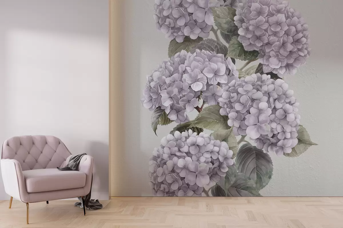 murales de pared Ramas de hortensia en suaves colores rosa w08176v1