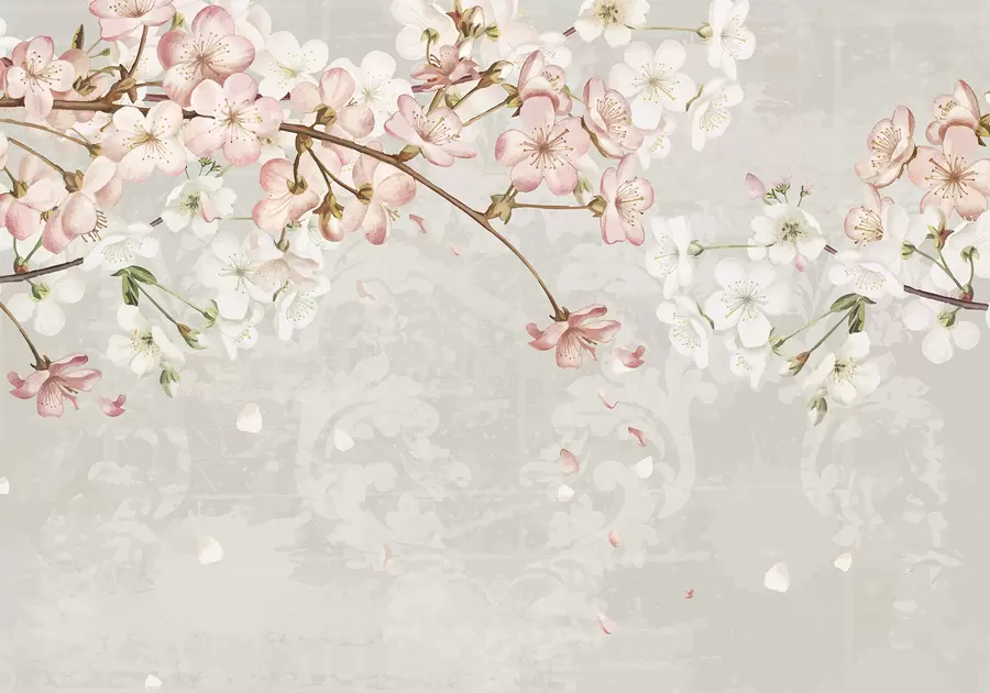 murales de pared Flores de cerezo rosas y blancas en plena floración, con suaves pétalos que caen sobre un fondo beige texturizado w08254v1