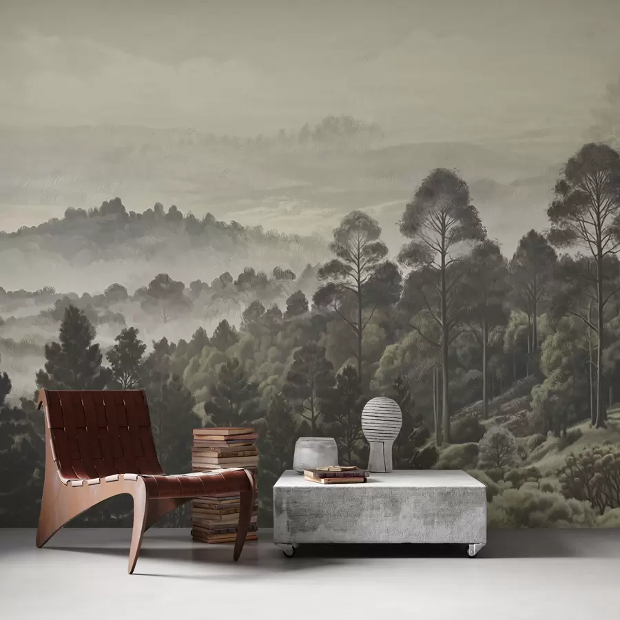 murales de pared Bosque denso y valle brumoso w01871