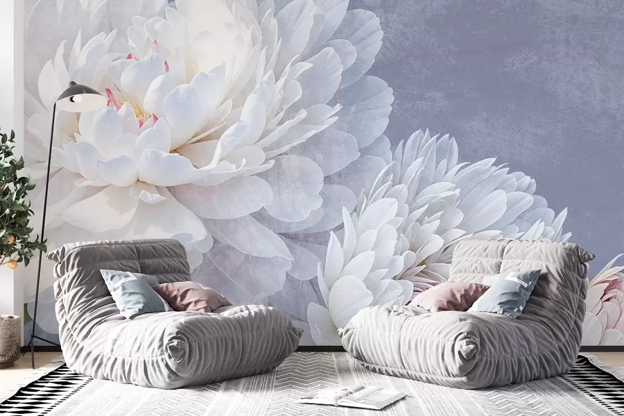 murales de pared Flores de peonía blancas con pétalos suaves y delicados sobre un fondo de textura azul pastel claro w08379
