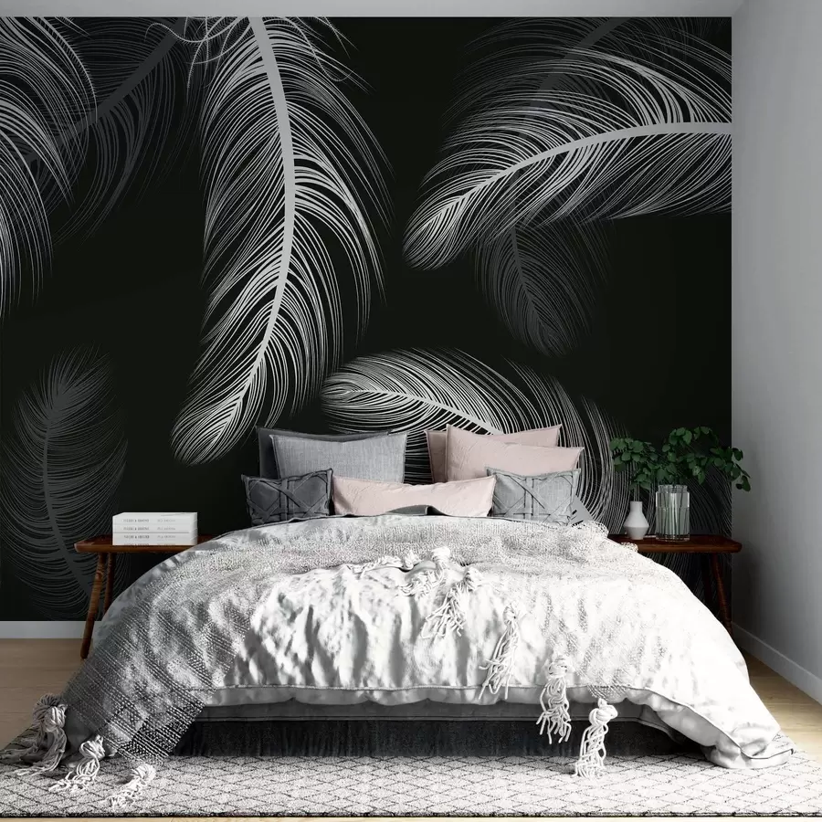 murales de pared Plumas blancas sobre fondo negro w02369v4