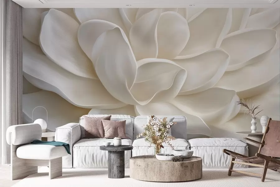 murales de pared Primer plano de una flor suculenta clara w08563