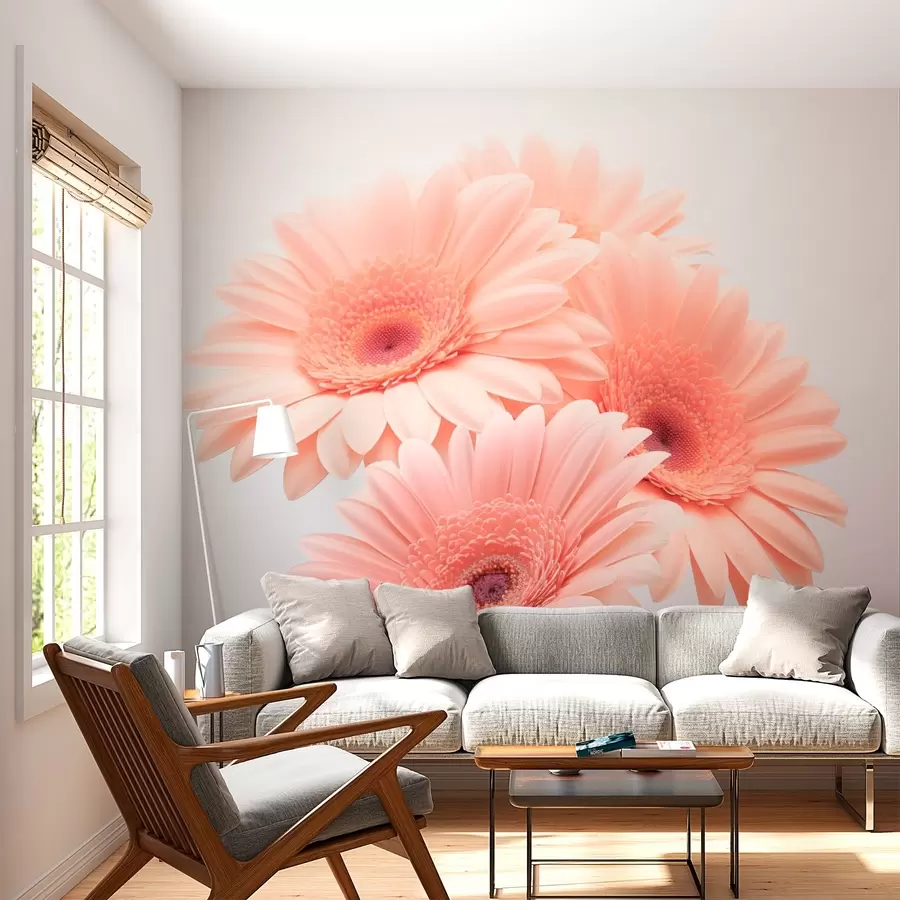 murales de pared Gerberas w03929v2