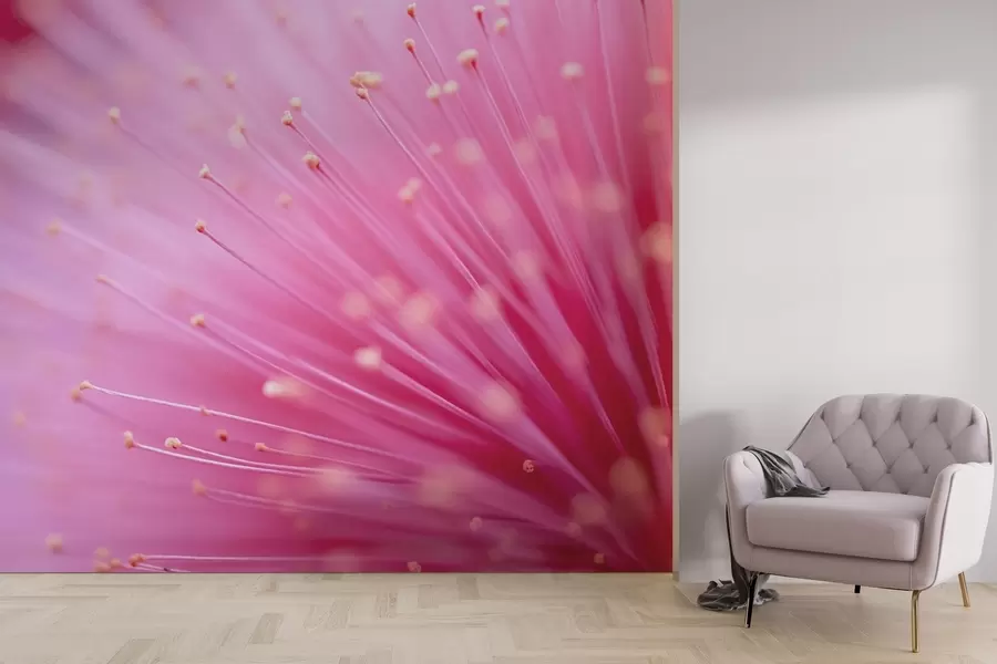 murales de pared Estambres de flor rosa en macro, abstracción delicada w04154