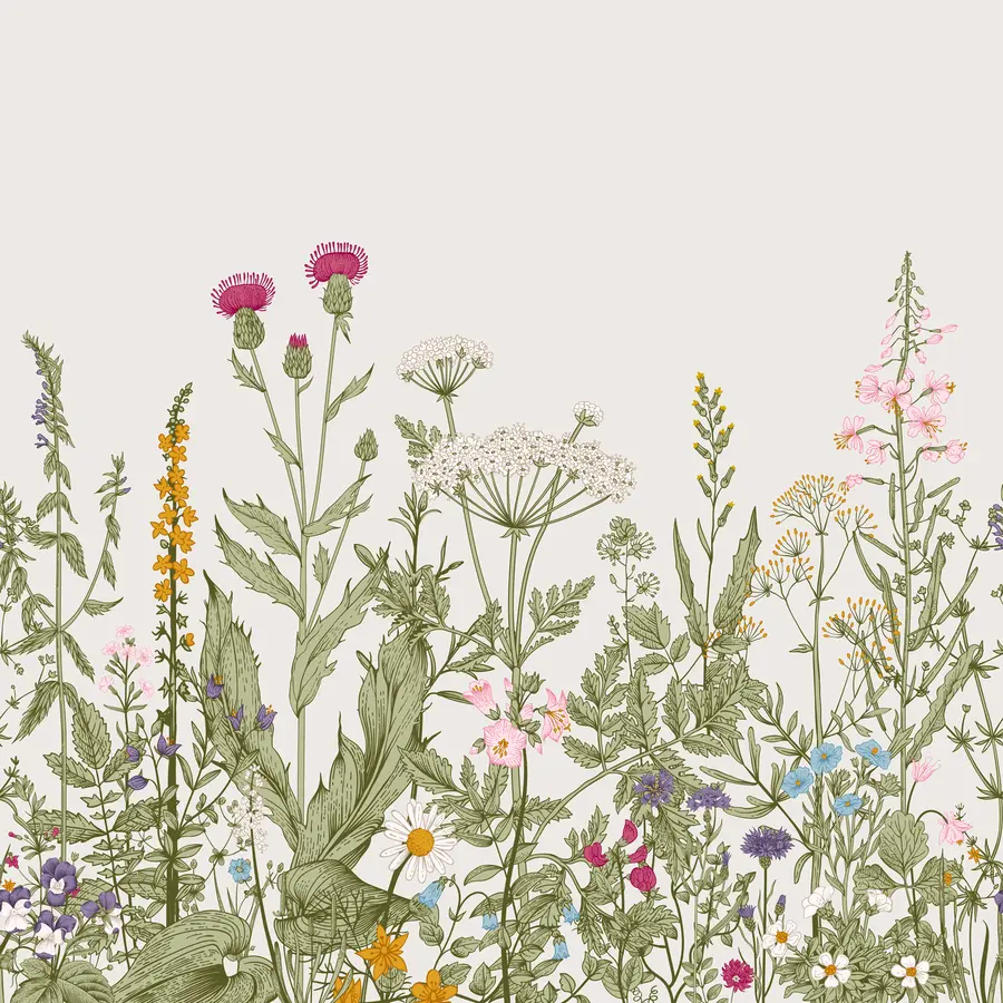 murales de pared Plantas de estilo boho u71743