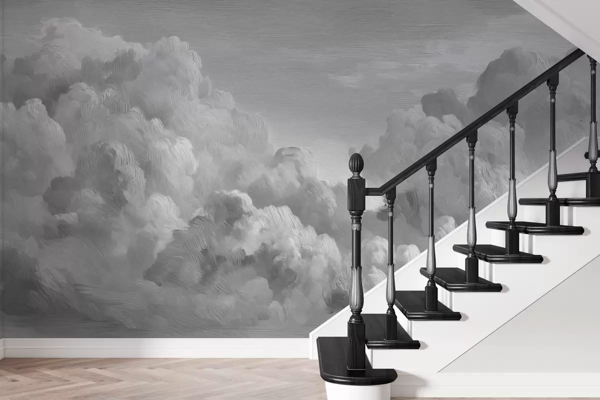 murales de pared Formación de nubes monocromáticas con textura w04550v3