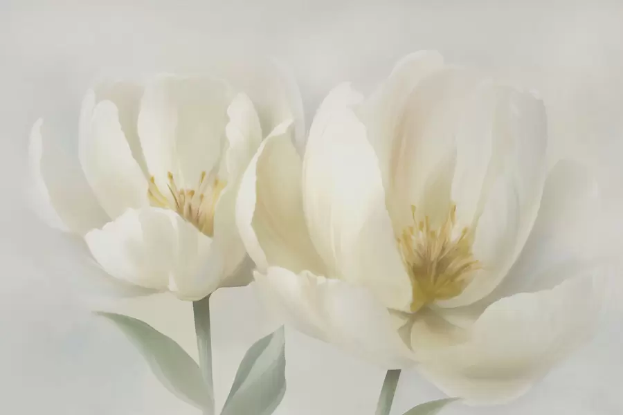 murales de pared Flores en flor w04652