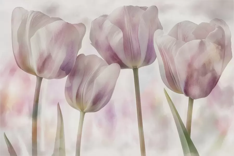murales de pared Tulipanes en colores suaves w04700