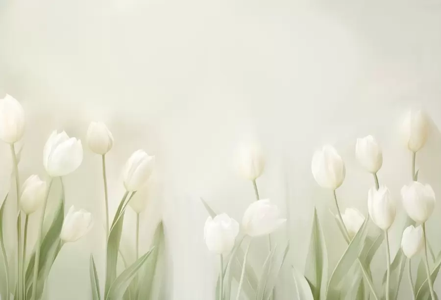 murales de pared Tulipanes w04796