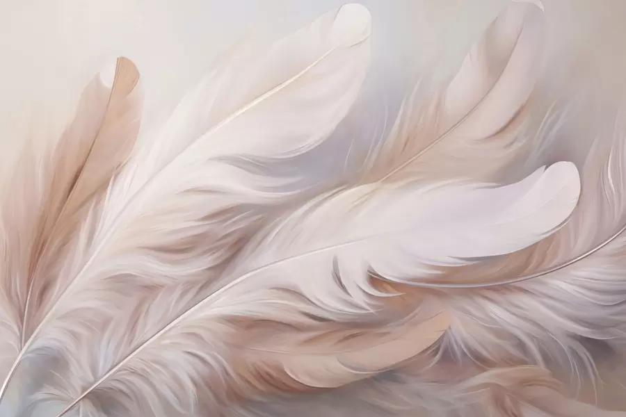 murales de pared Plumas w04775