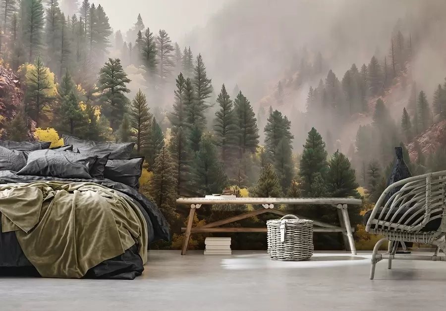 murales de pared Bosque de pinos brumoso y evocador en las montañas w09463