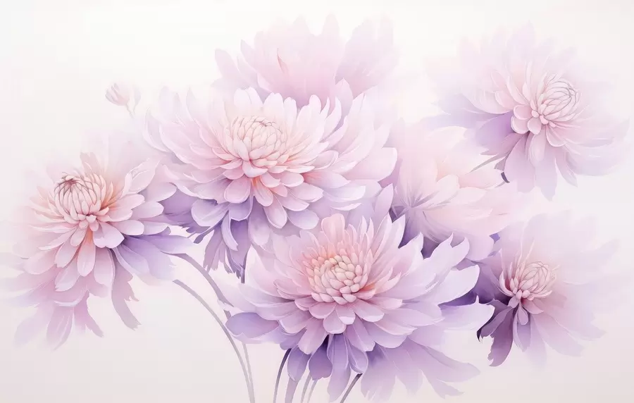 murales de pared Exuberantes crisantemos pintados con acuarela sobre un fondo claro w04832