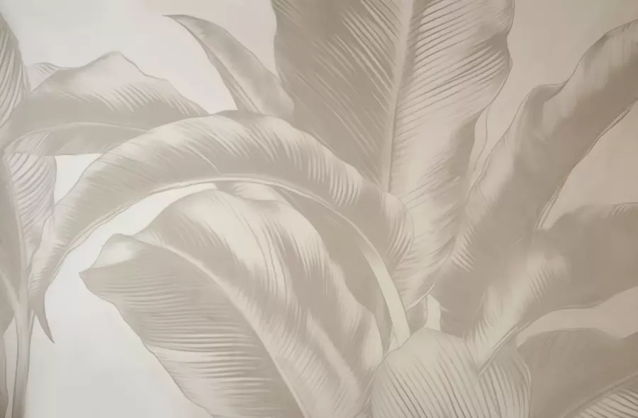 murales de pared Hojas largas, hojas de plátano con efecto desgastado. w04827