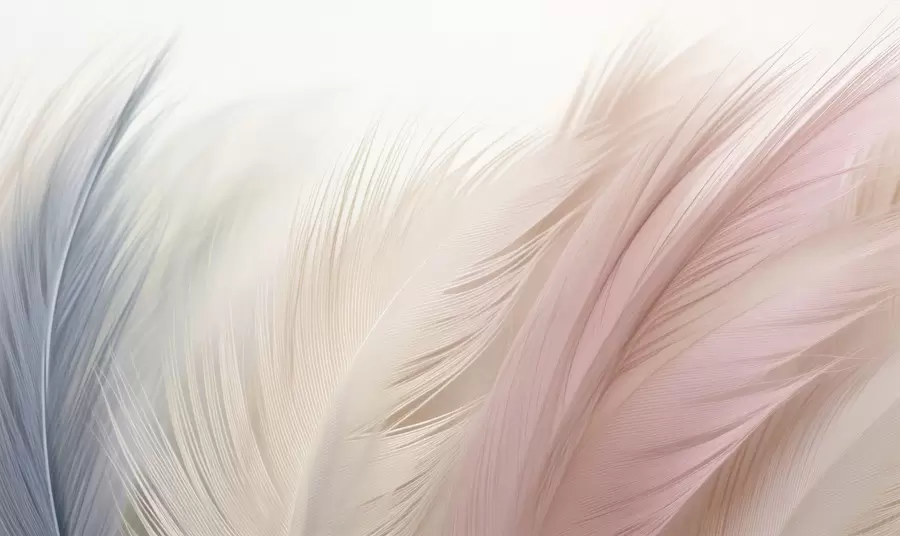 murales de pared Aliento de plumas w05312