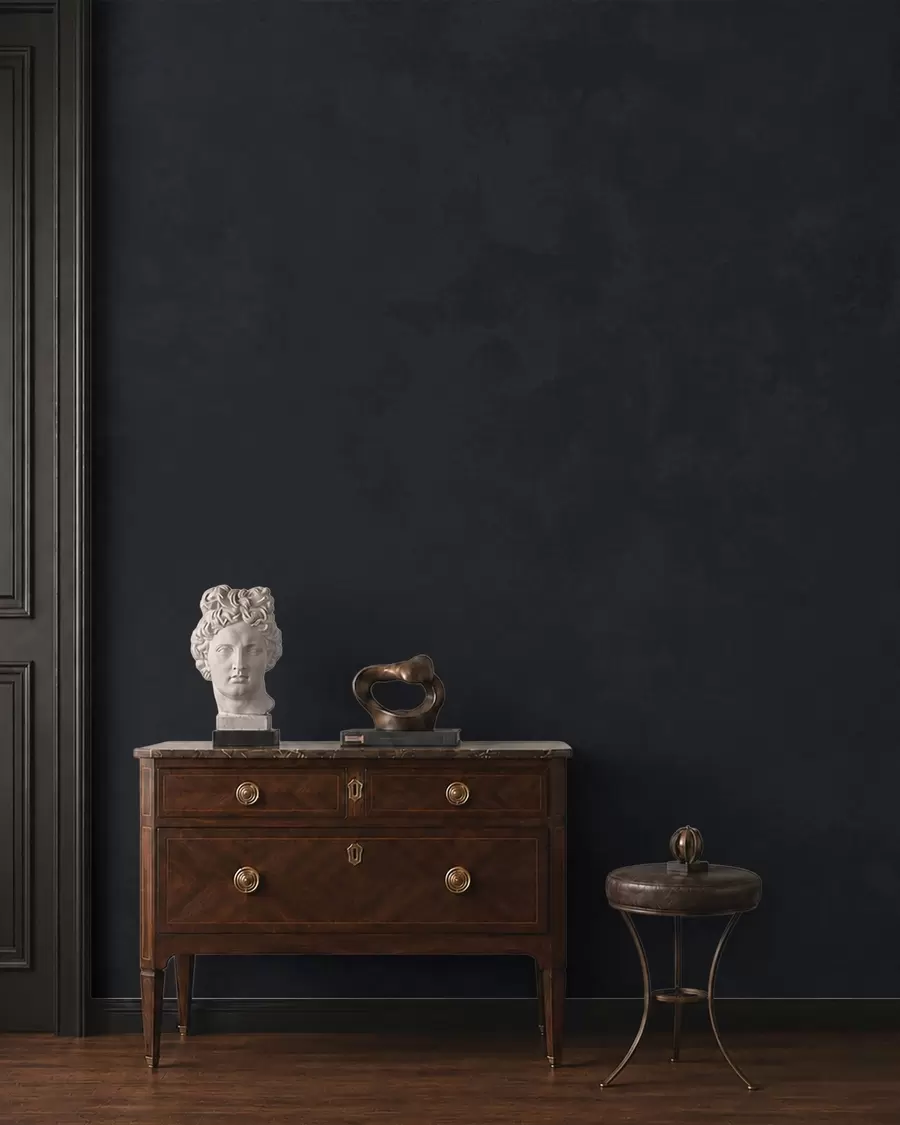murales de pared Tono grafito oscuro con textura suave y transiciones tonales difuminadas w05814v5