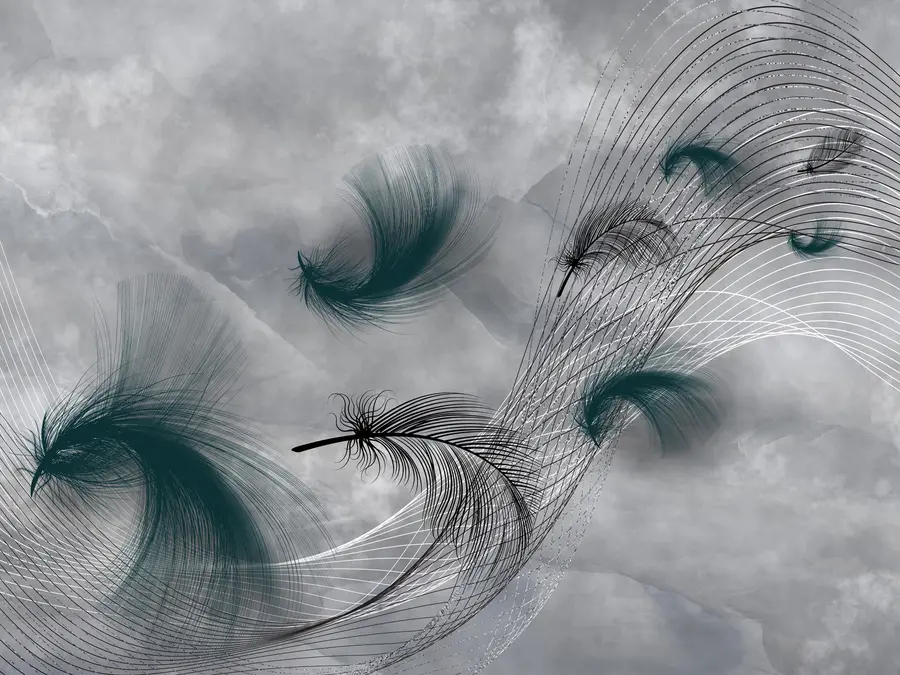 murales de pared Plumas en el viento u80391