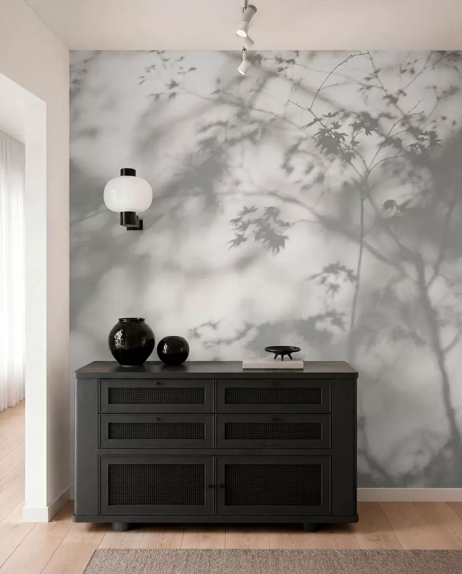 murales de pared Sombra en la pared u79829