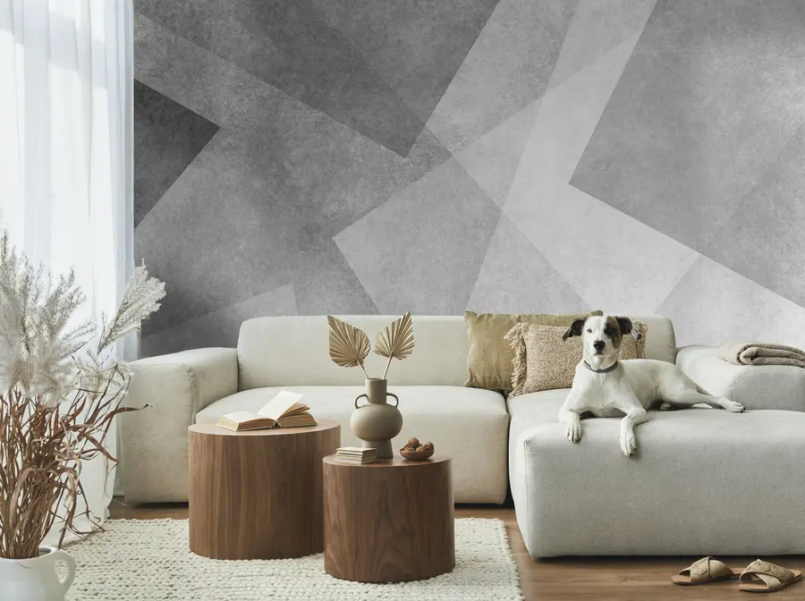murales de pared Abstracción geométrica de gris u74057