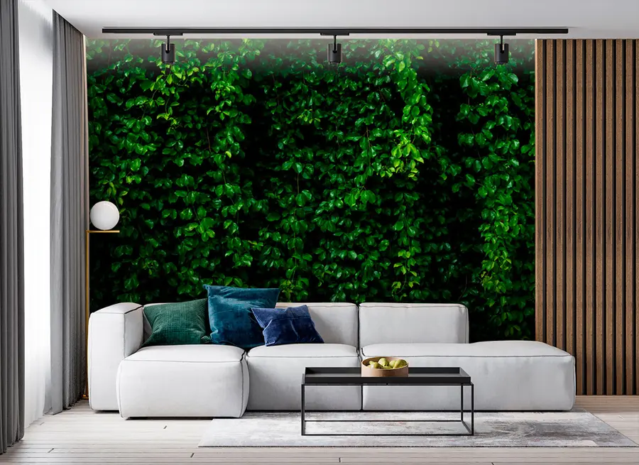 murales de pared hoja tropical verde oscuro u94381