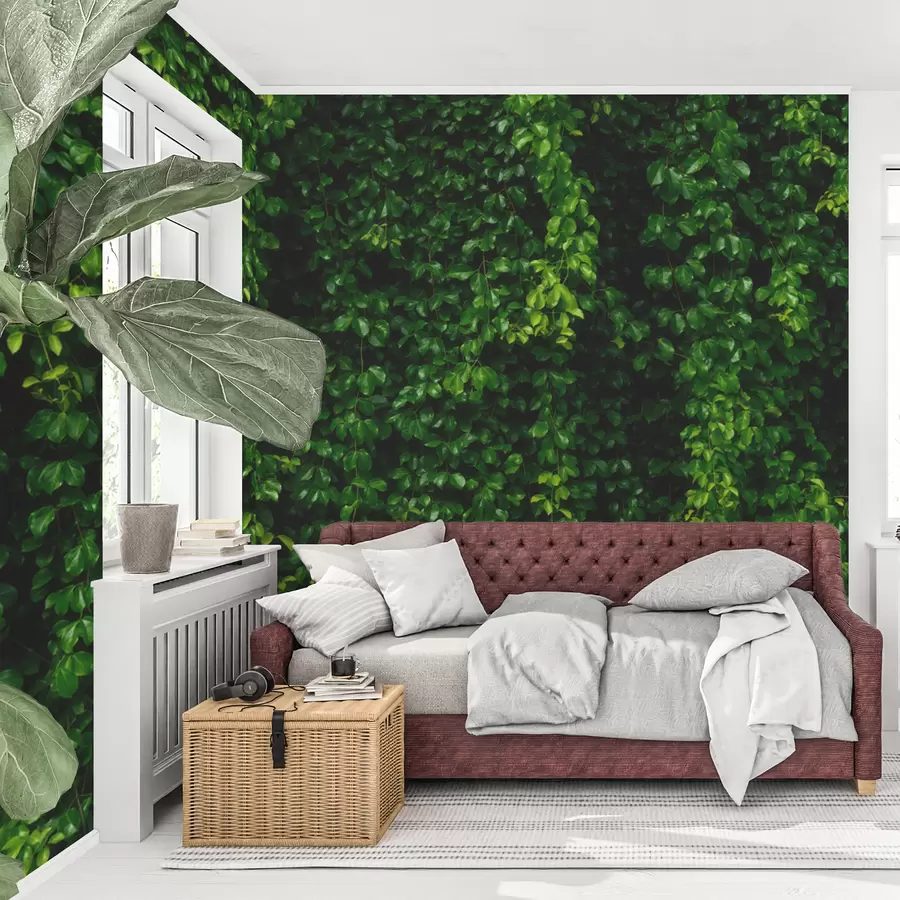 murales de pared hoja tropical verde oscuro u94381