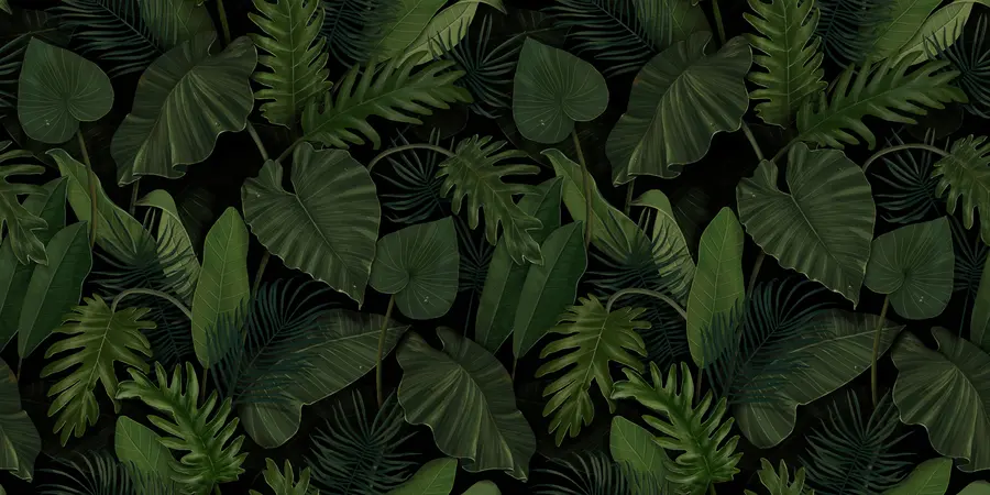 murales de pared Patrón con palma verde tropical, taro, hojas de plátano u95470