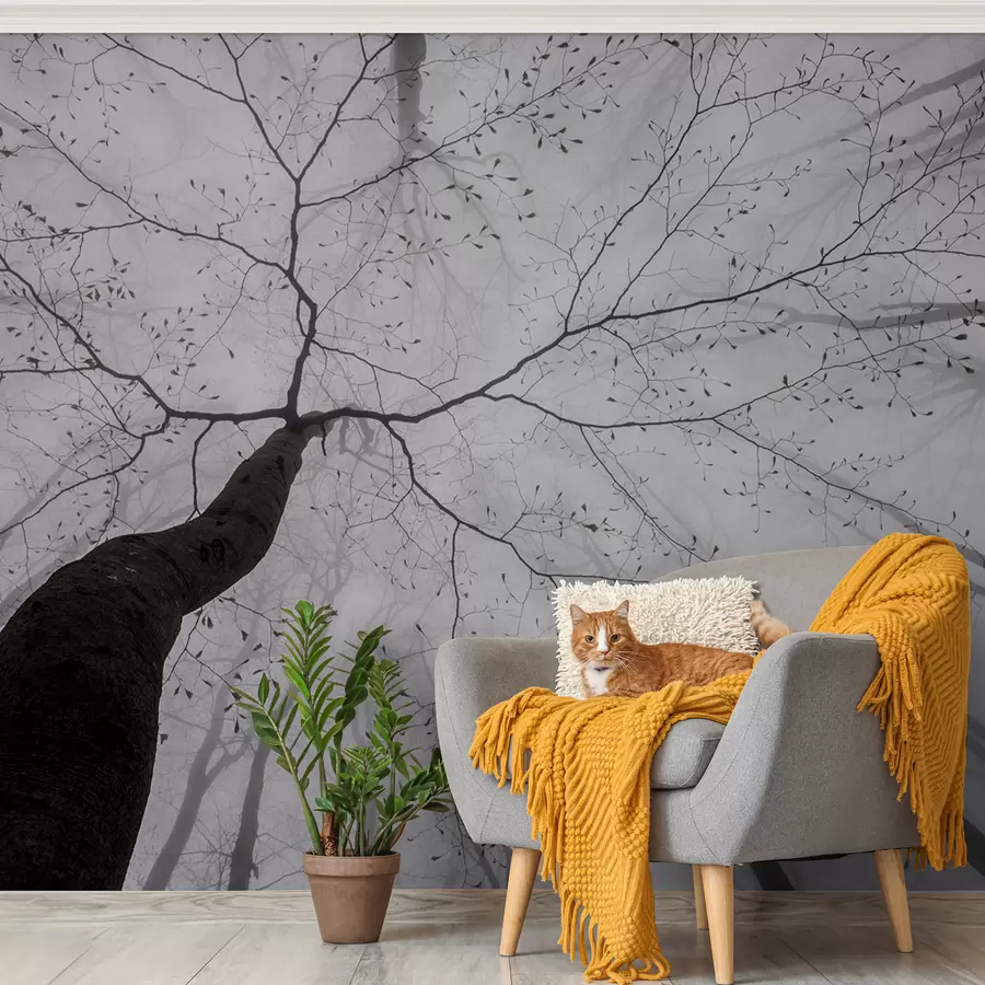 murales de pared Una mañana brumosa en el bosque u97391