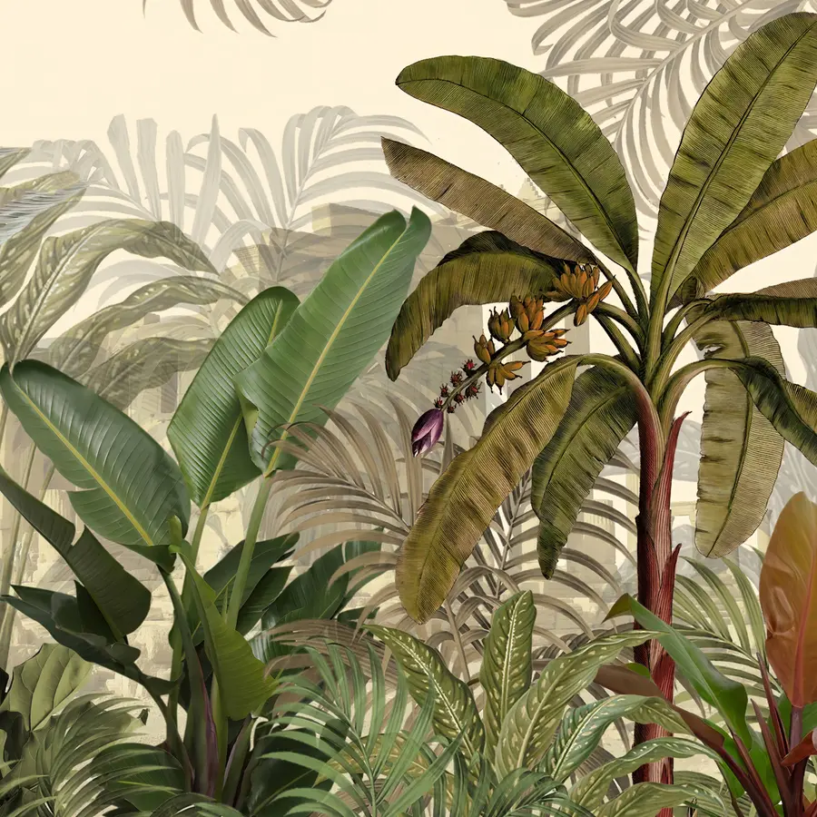 murales de pared Selva tropical y hojas u74748d1