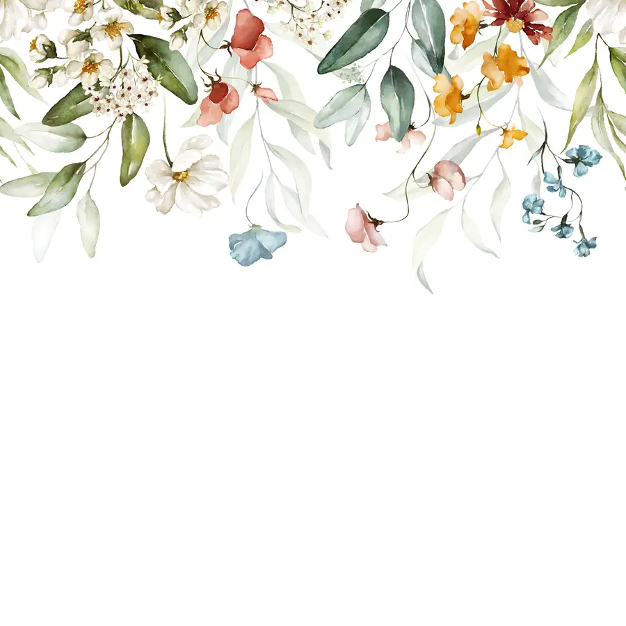 murales de pared Flores y hojas sobre fondo blanco u99495